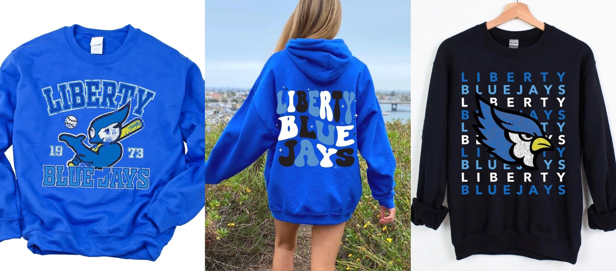  Womens Liberty High School Blue Jays V-Neck T-Shirt : Clothing,  Shoes & Jewelry